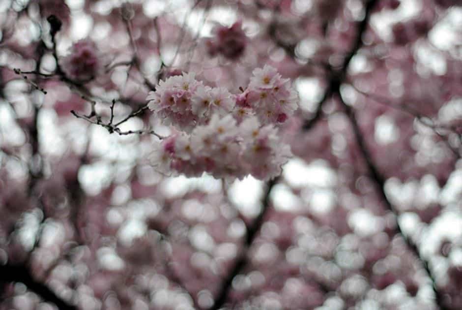 Creative Commons License photo credit: zawtowers Creative Commons License photo credit: zawtowers