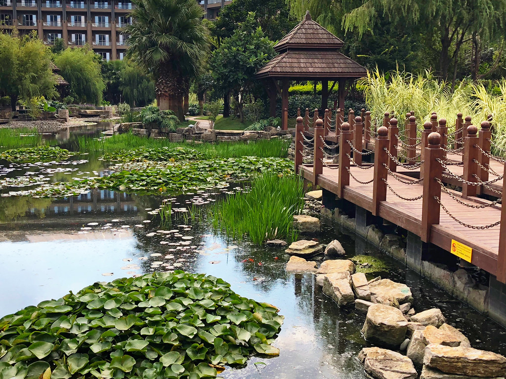 Experiencing the Best of Yunnan With the InterContinental Kunming in China post thumbnail image