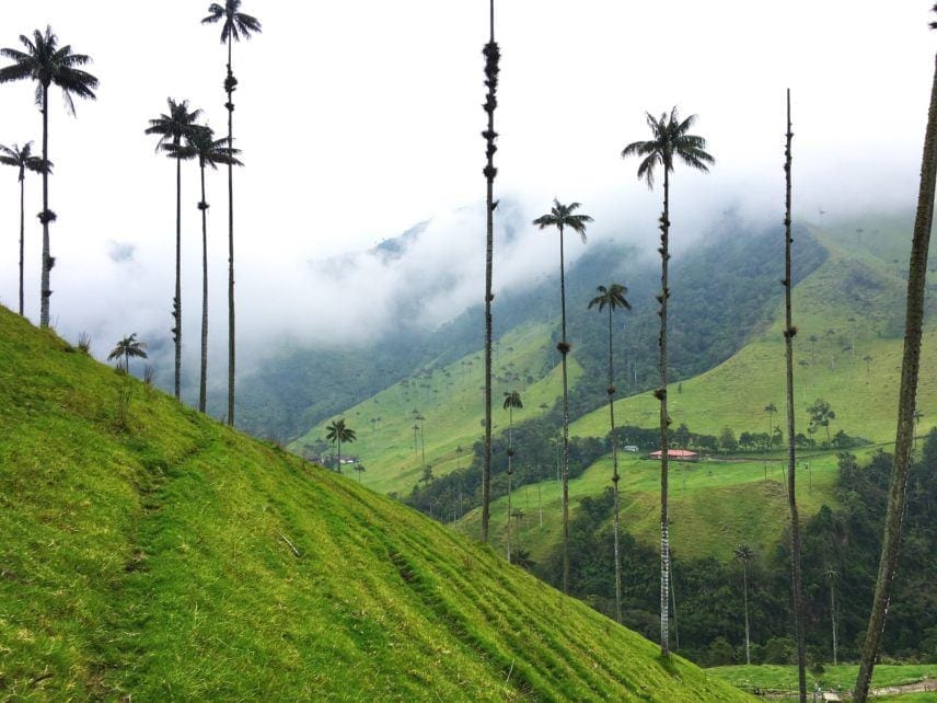 Unlikely Food Destinations I Love to Visit post thumbnail image